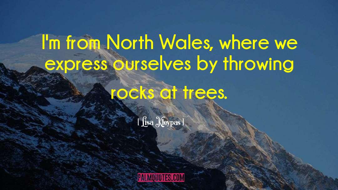 Throwing Rocks quotes by Lisa Kleypas