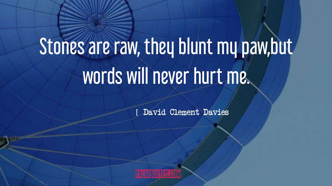 Throwing Stones quotes by David Clement-Davies