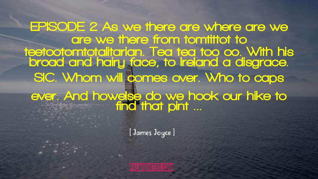 Thru Hike quotes by James Joyce