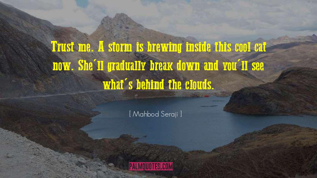 Thru The Storm quotes by Mahbod Seraji