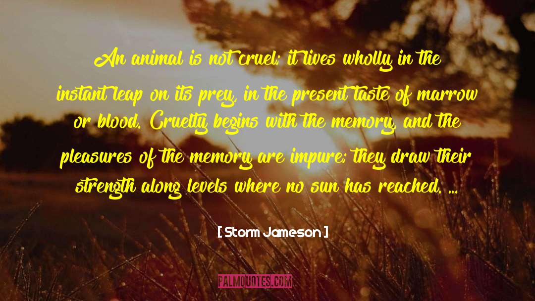 Thru The Storm quotes by Storm Jameson