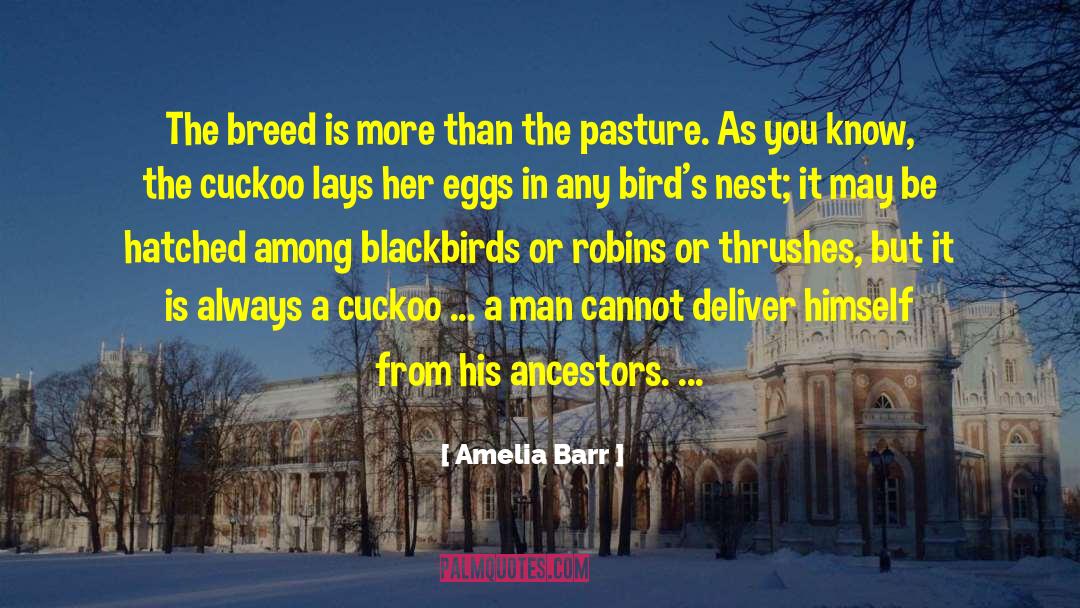 Thrushes quotes by Amelia Barr