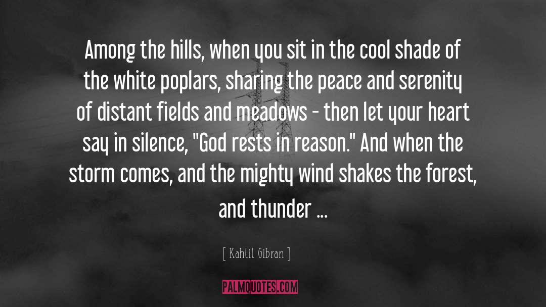Thunder And Lightning quotes by Kahlil Gibran