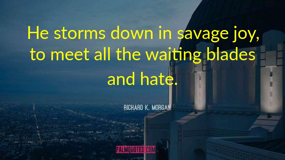 Thunder Storms quotes by Richard K. Morgan