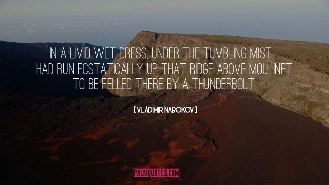 Thunderbolt quotes by Vladimir Nabokov