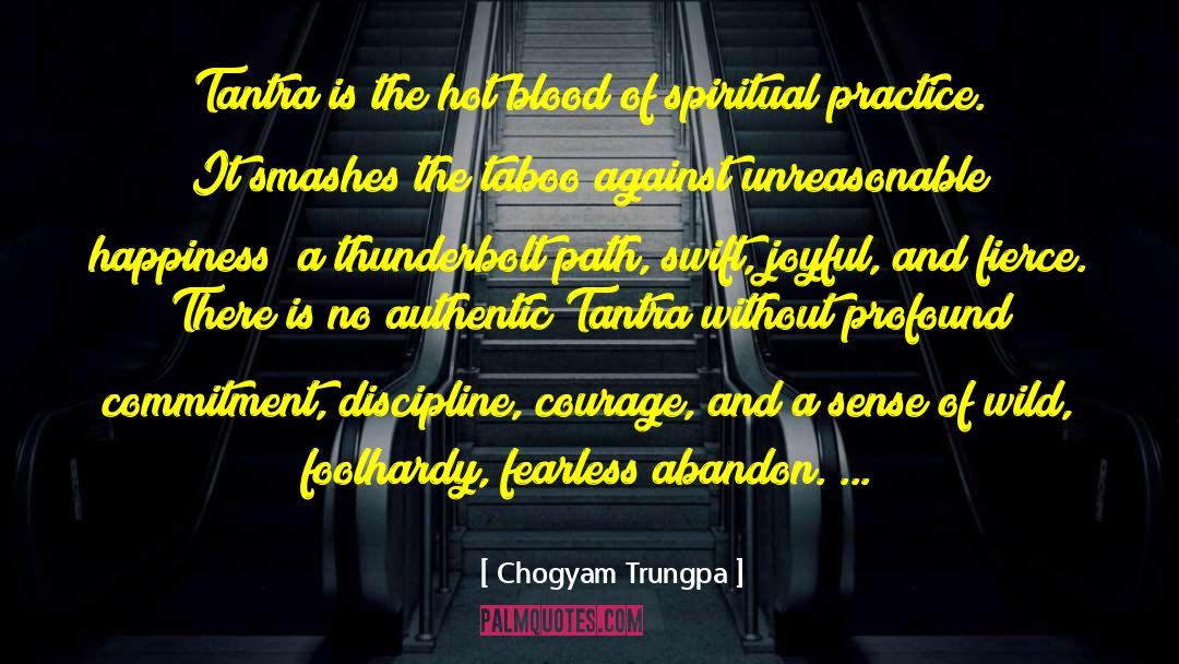 Thunderbolt quotes by Chogyam Trungpa