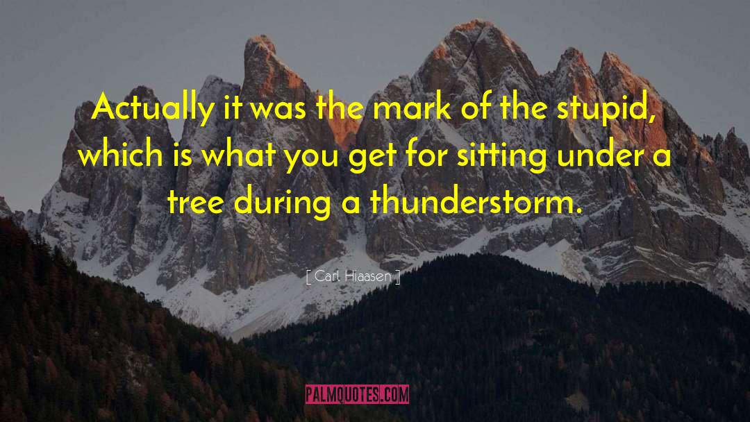 Thunderstorm quotes by Carl Hiaasen