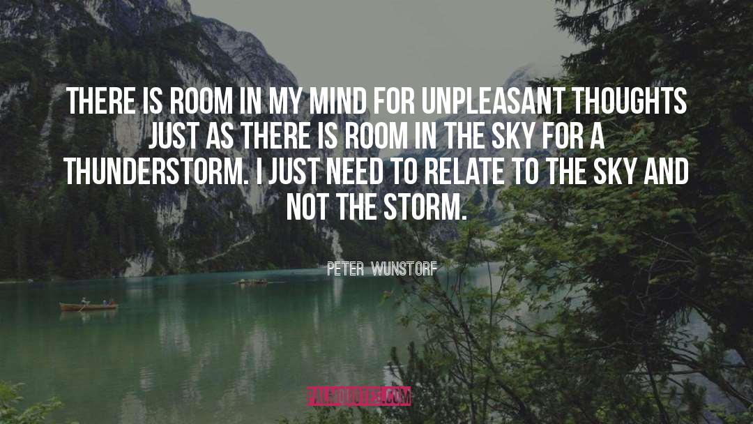 Thunderstorm quotes by Peter Wunstorf
