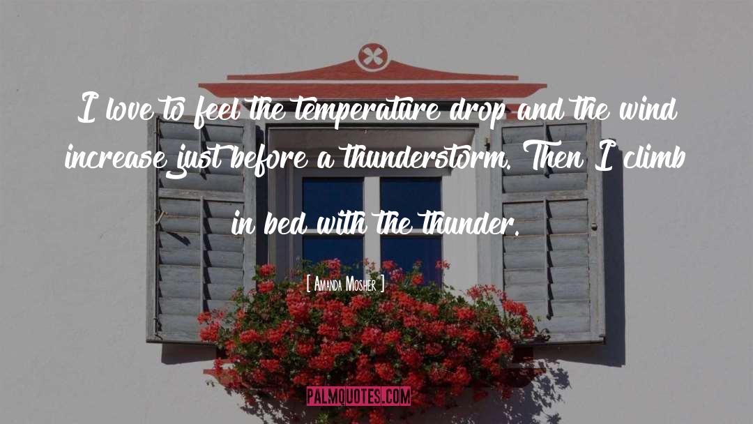 Thunderstorm quotes by Amanda Mosher