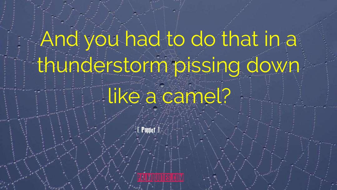 Thunderstorm quotes by Poppet