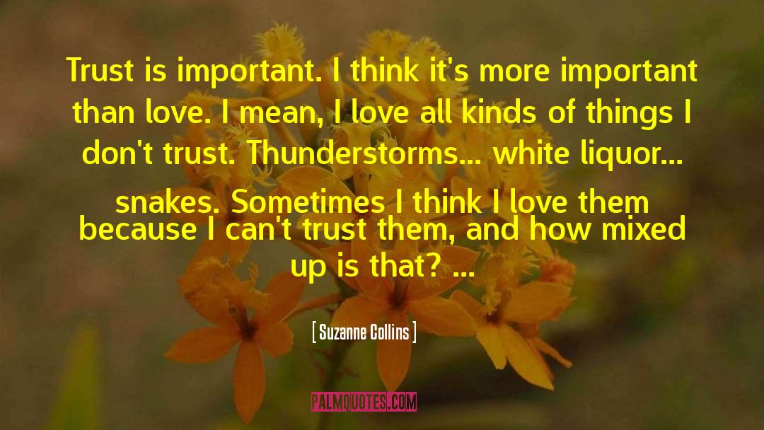 Thunderstorms quotes by Suzanne Collins