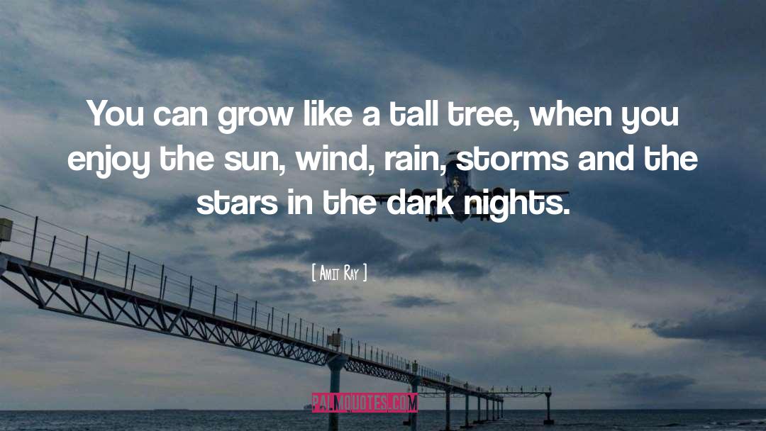 Thunderstorms quotes by Amit Ray