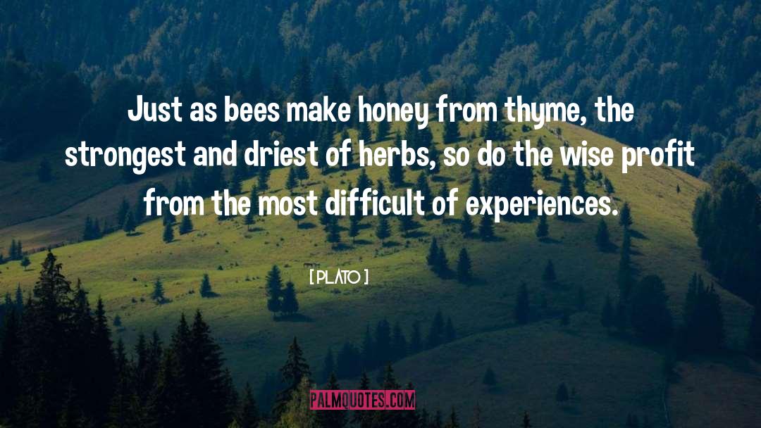 Thyme quotes by Plato