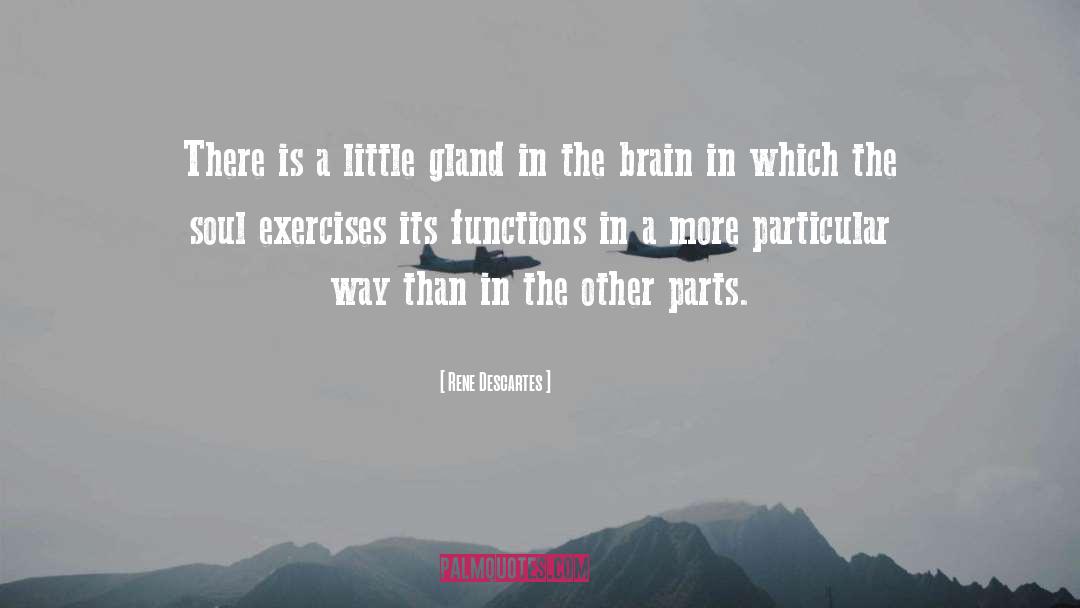 Thyroid Gland quotes by Rene Descartes