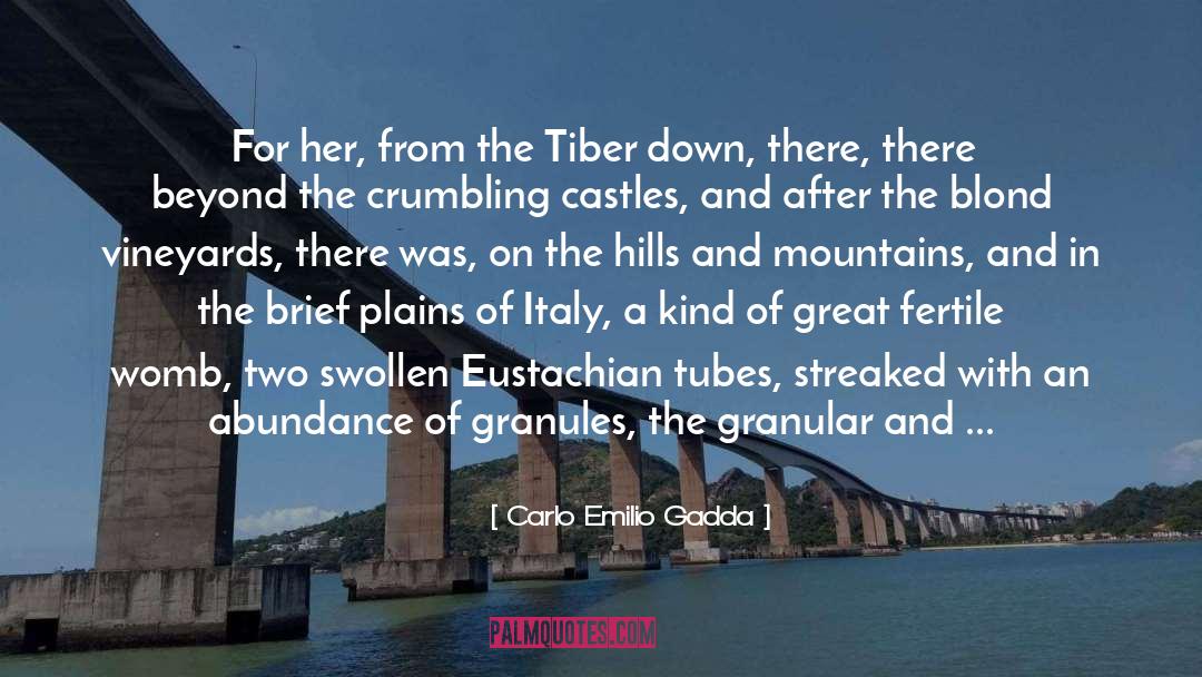 Tiber quotes by Carlo Emilio Gadda