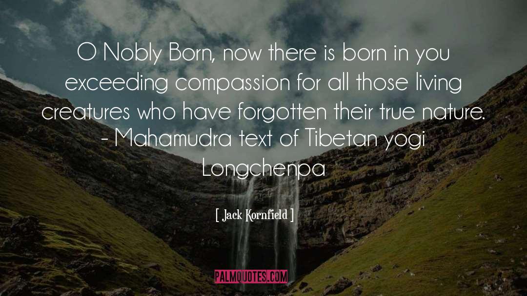 Tibetan quotes by Jack Kornfield