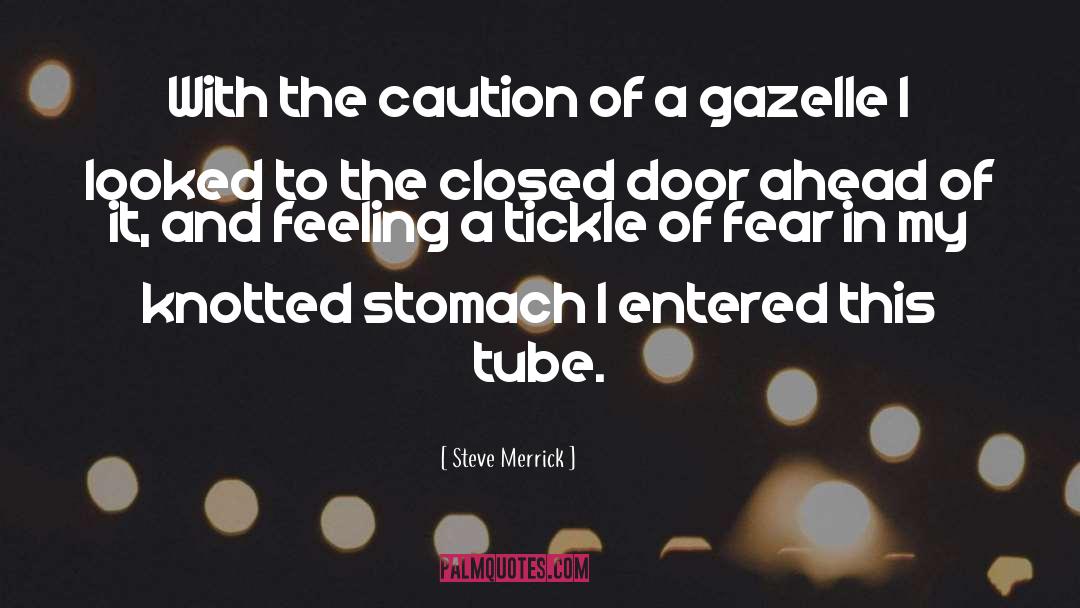 Tickle quotes by Steve Merrick