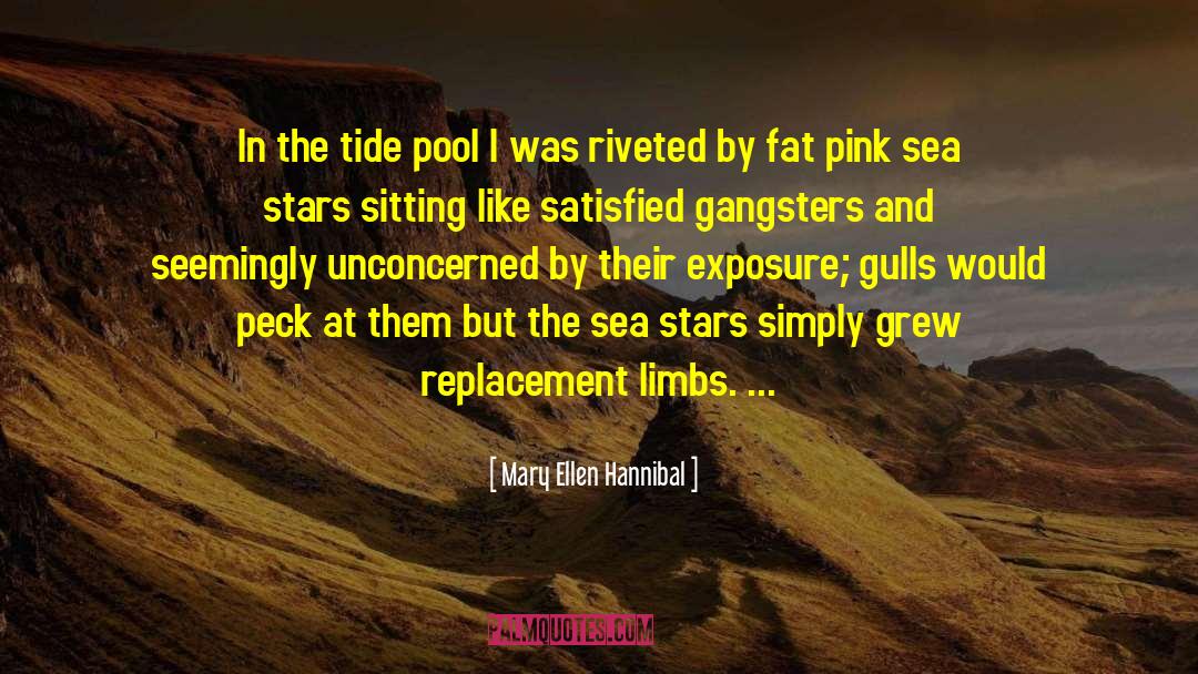 Tide Pool quotes by Mary Ellen Hannibal