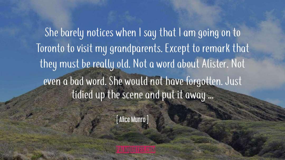Tidied Pronunciation quotes by Alice Munro
