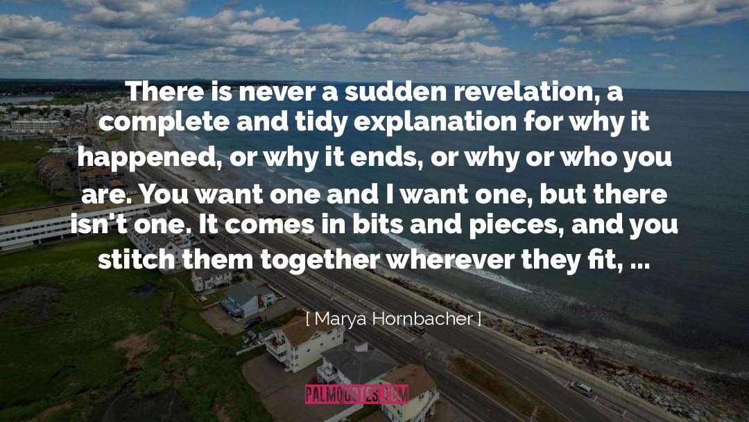 Tidy quotes by Marya Hornbacher