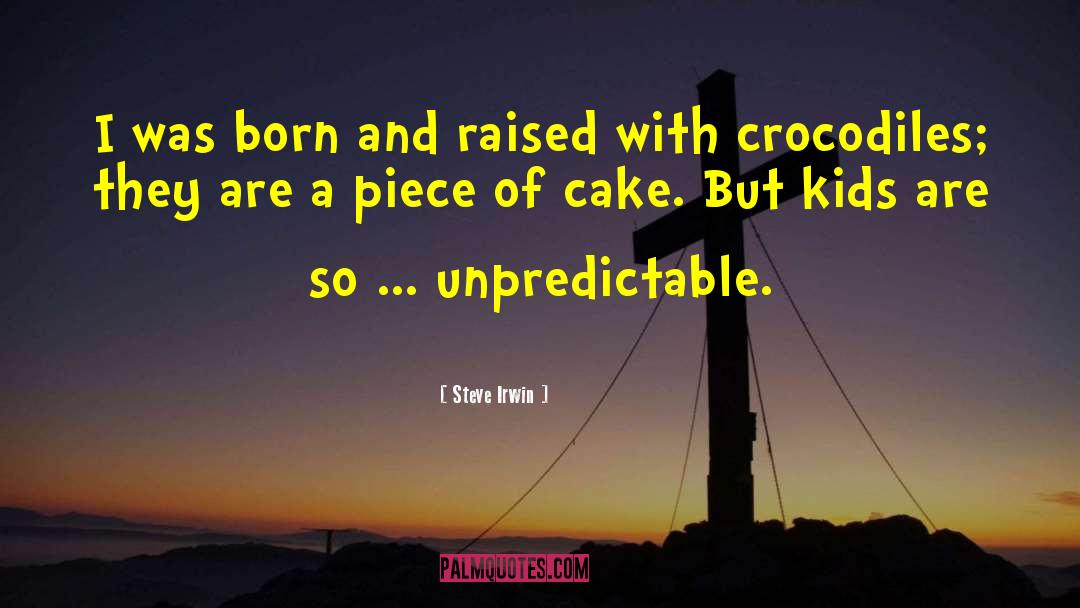 Tier Cake quotes by Steve Irwin