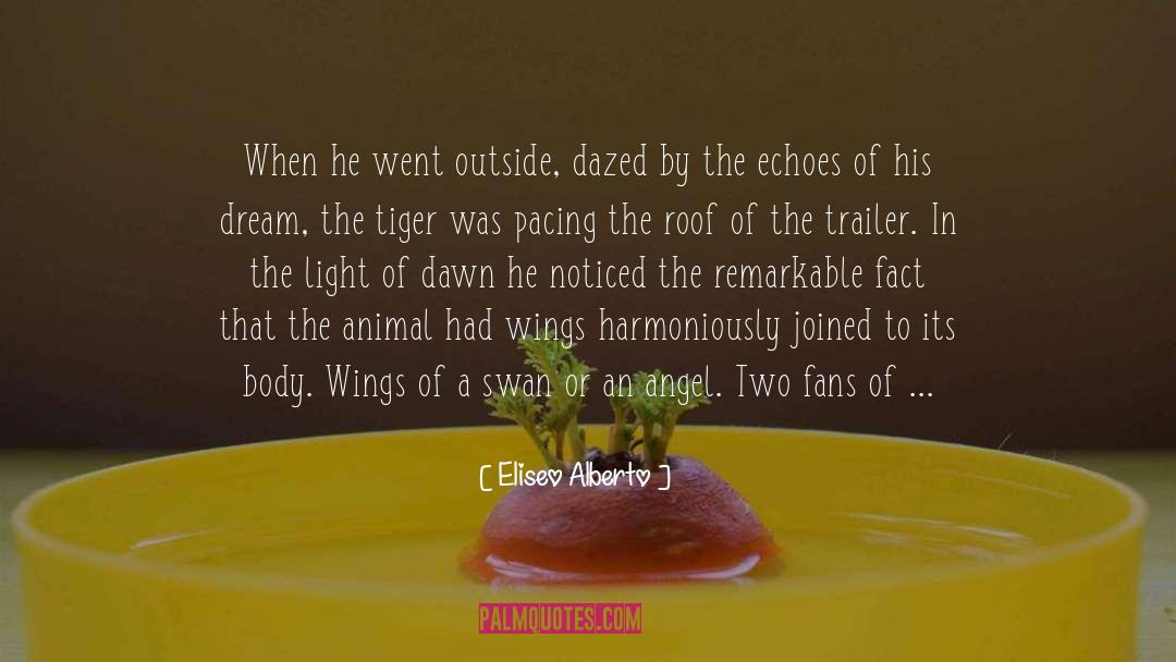 Tiger quotes by Eliseo Alberto