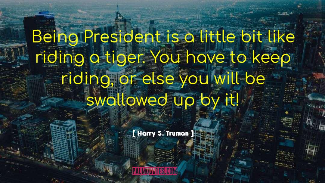 Tiger S Destiny quotes by Harry S. Truman
