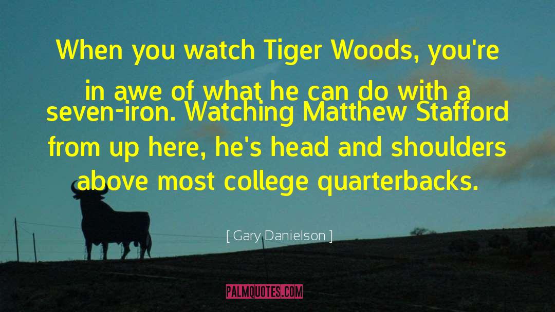 Tiger Woods quotes by Gary Danielson