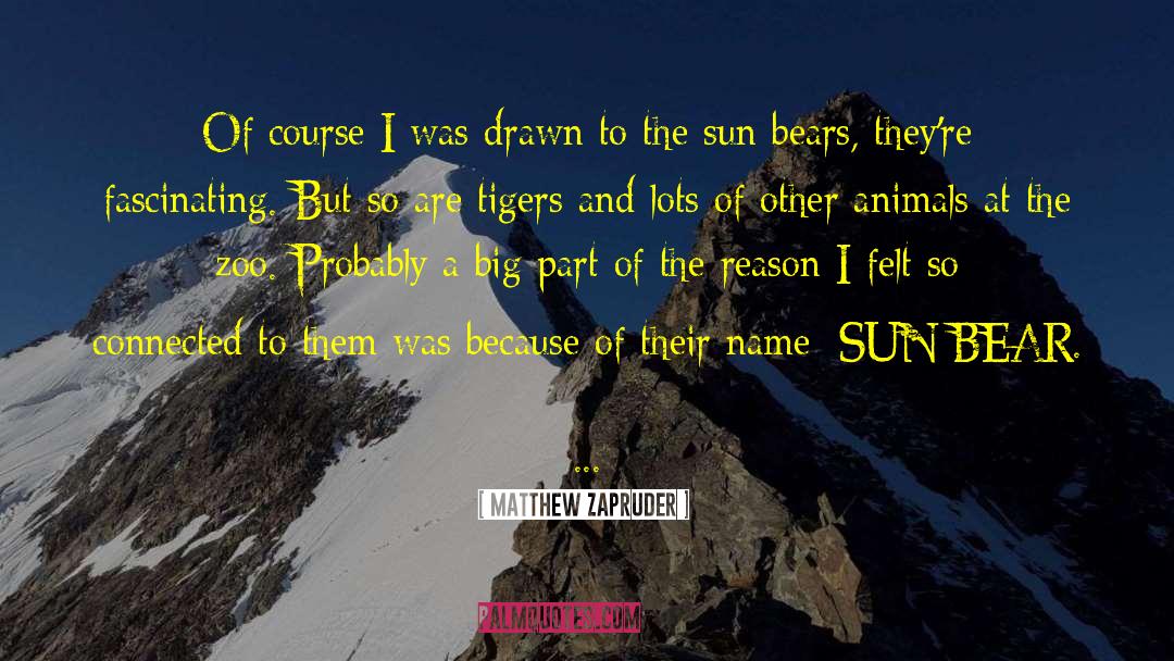 Tigers quotes by Matthew Zapruder