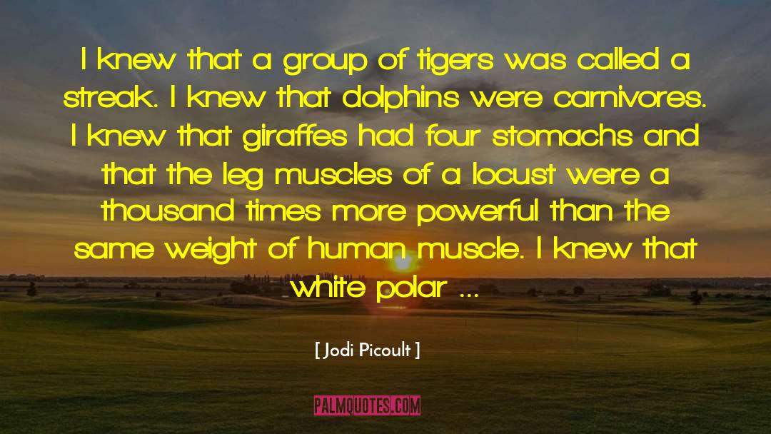 Tigers quotes by Jodi Picoult