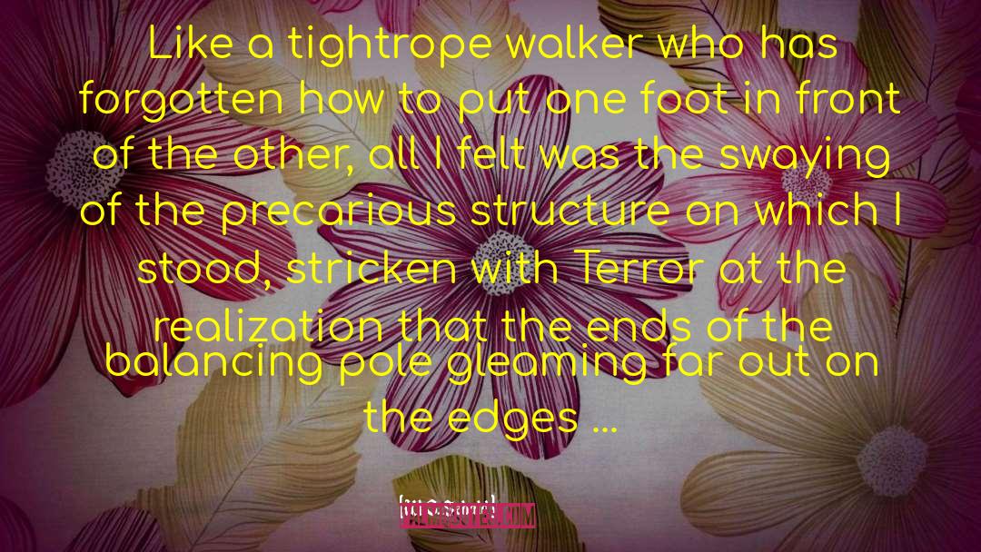 Tightrope quotes by W.G. Sebald