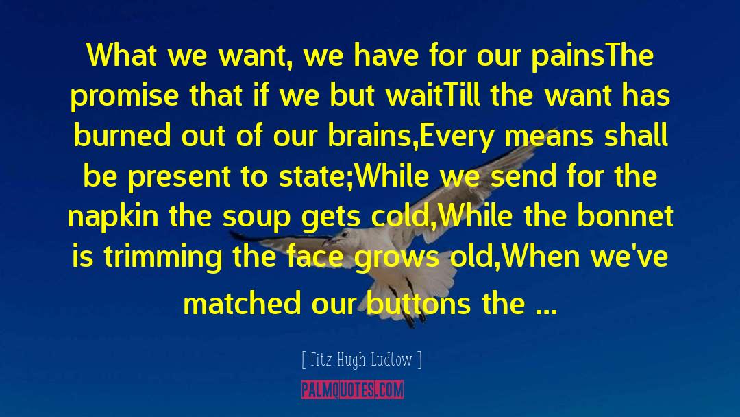 Till We Have Faces quotes by Fitz Hugh Ludlow