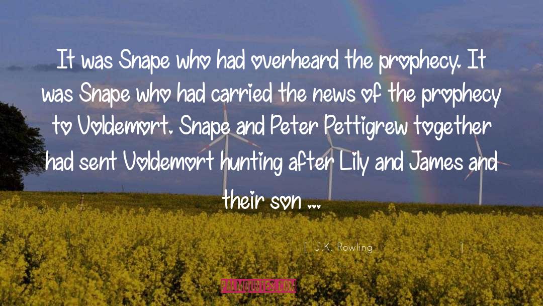 Tim Macartney Snape quotes by J.K. Rowling