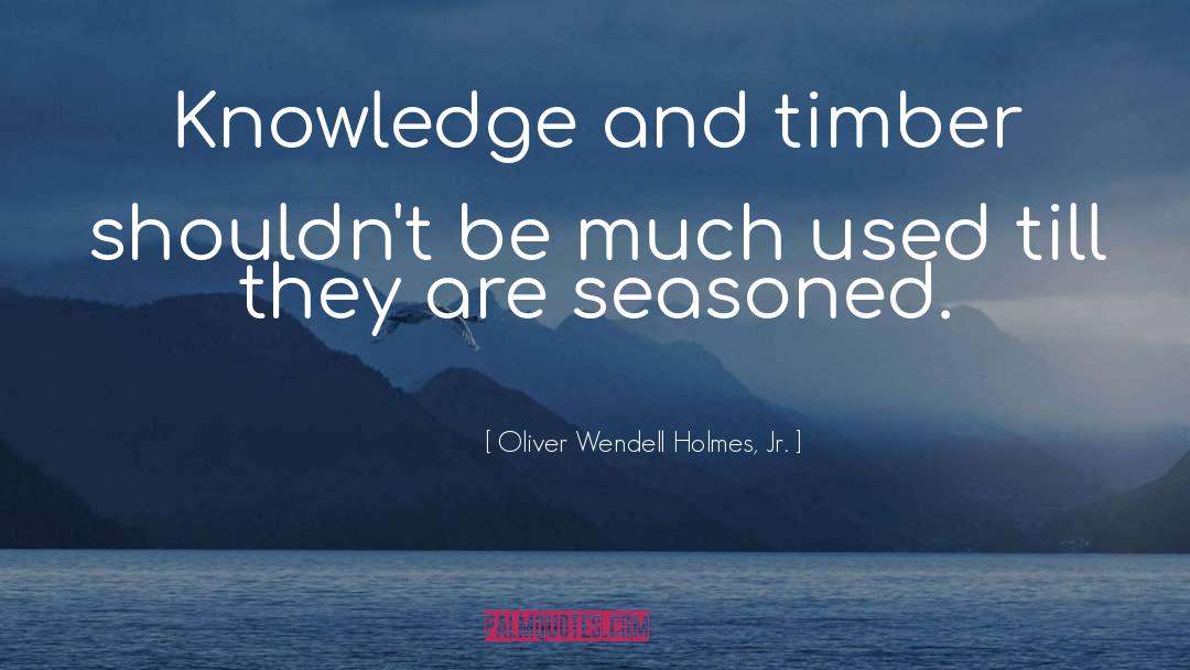 Timber quotes by Oliver Wendell Holmes, Jr.