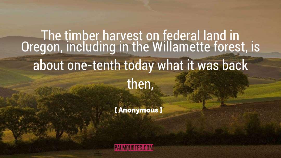 Timber quotes by Anonymous