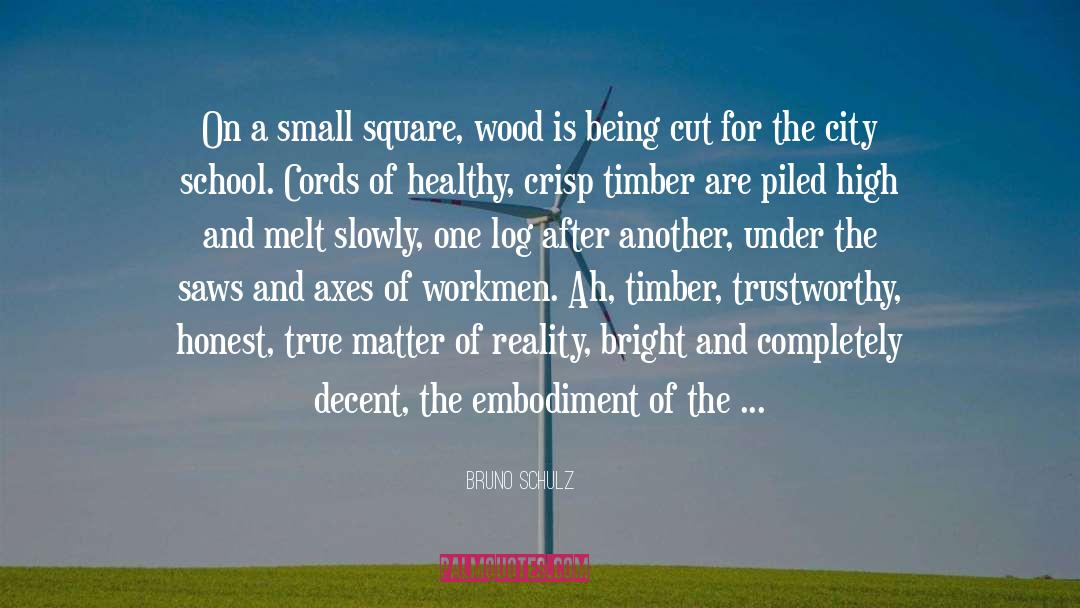 Timber quotes by Bruno Schulz