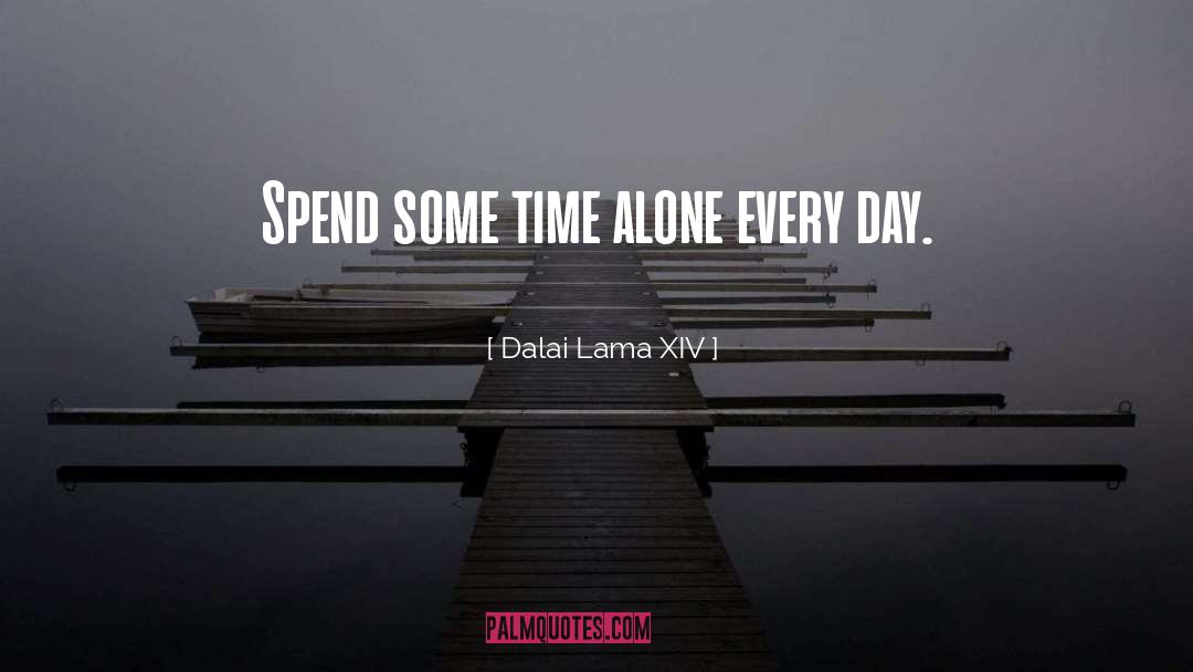 Time Alone quotes by Dalai Lama XIV