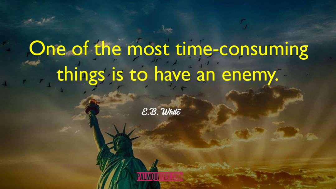 Time Consuming quotes by E.B. White