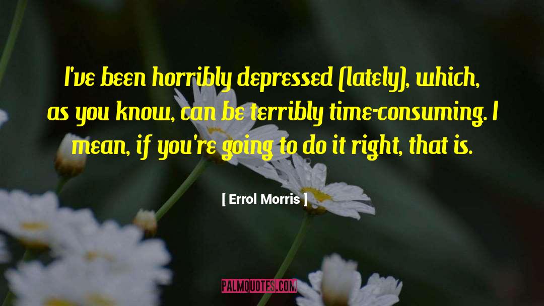 Time Consuming quotes by Errol Morris