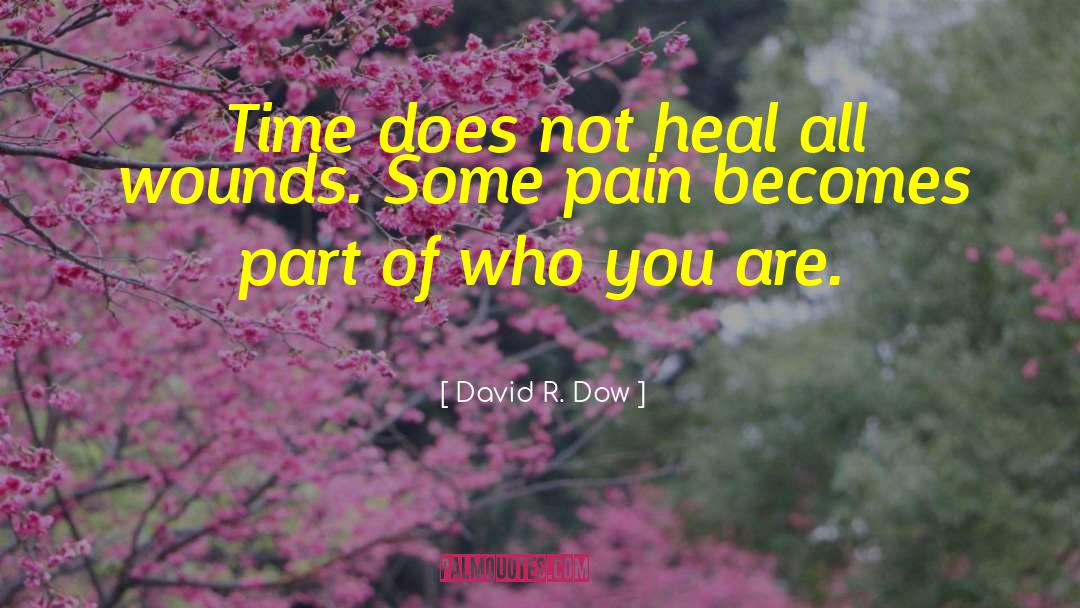 Time Doesn T Heal All Wounds quotes by David R. Dow