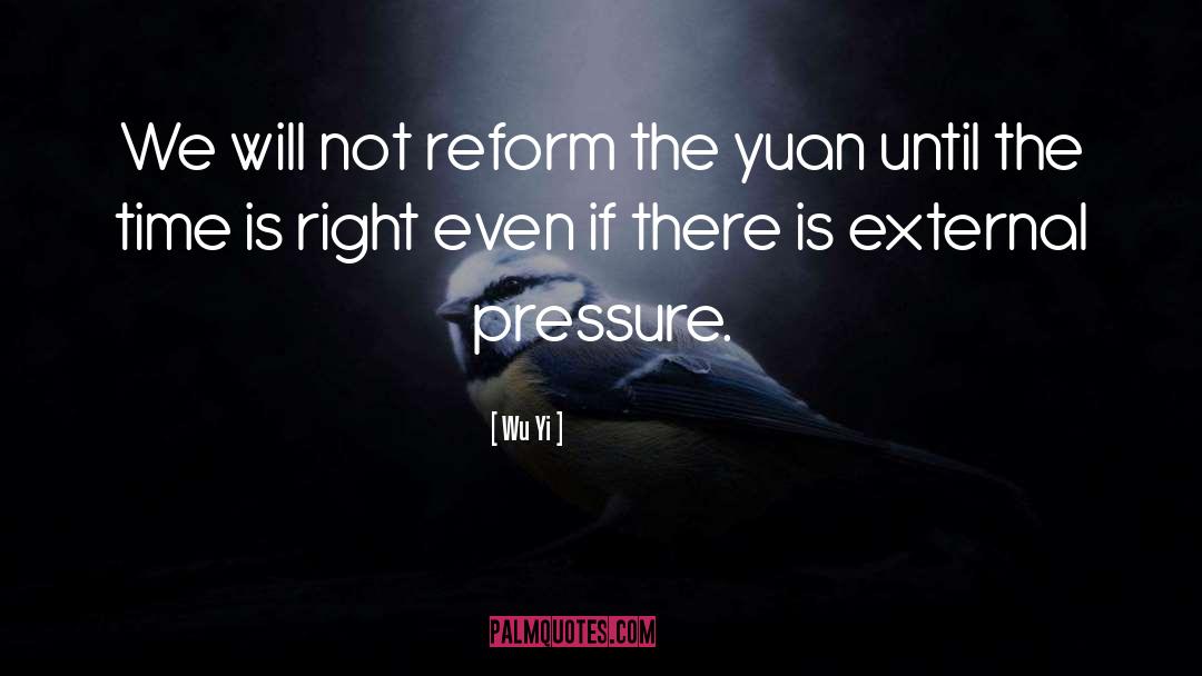 Time Effort quotes by Wu Yi