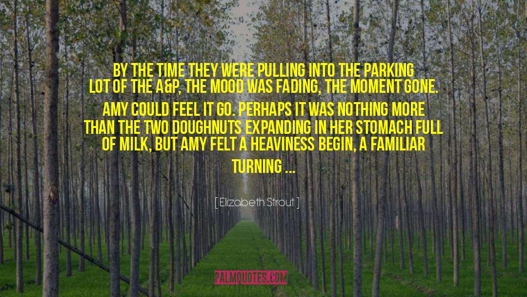 Time Fading Away quotes by Elizabeth Strout