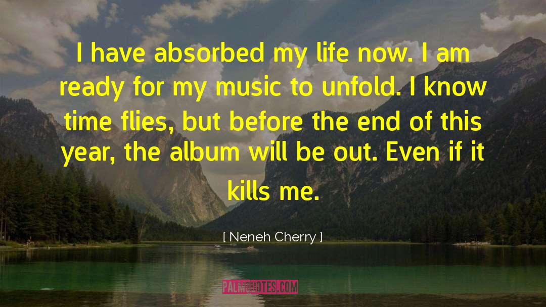 Time Flies quotes by Neneh Cherry