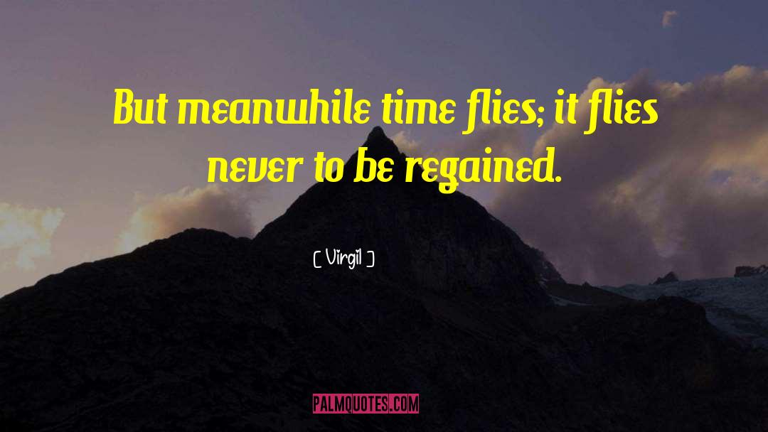 Time Flies quotes by Virgil