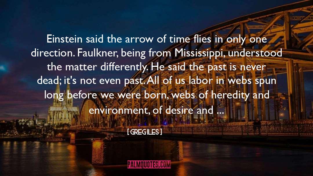 Time Flies quotes by Greg Iles