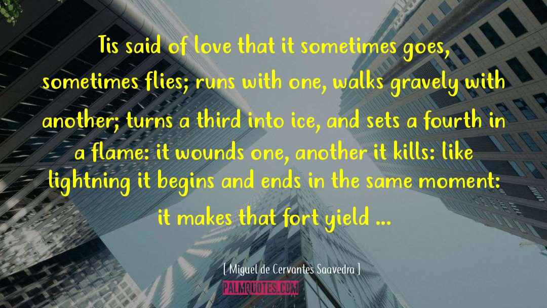 Time Flies quotes by Miguel De Cervantes Saavedra