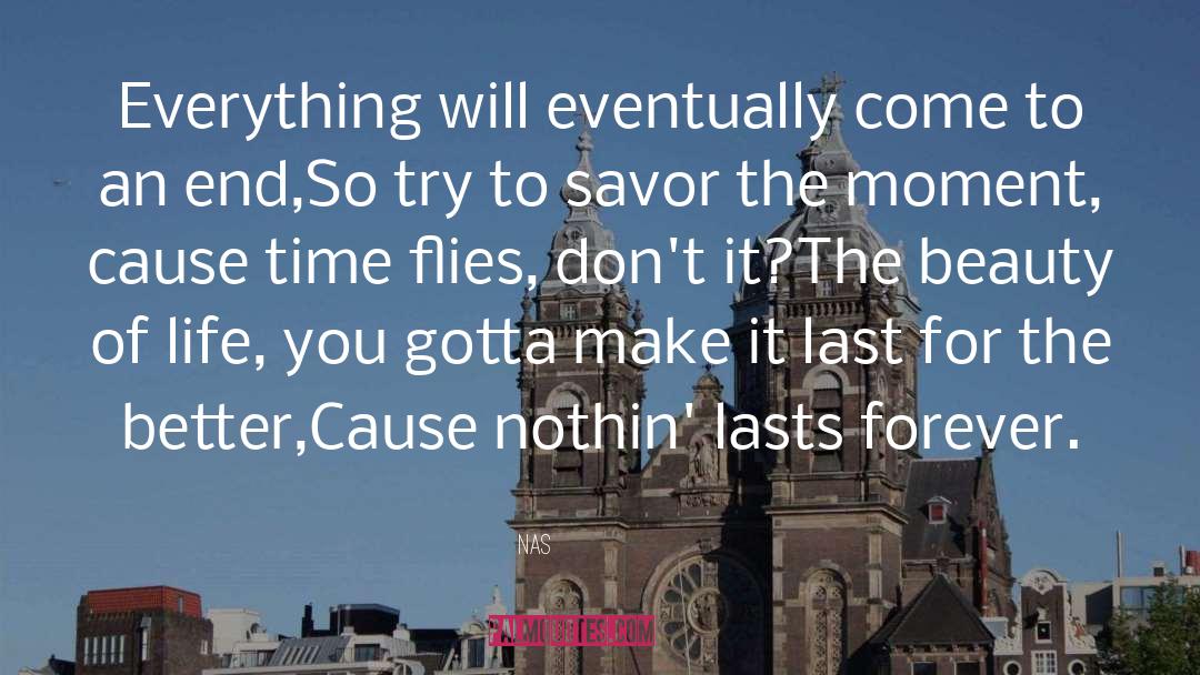 Time Flies quotes by Nas