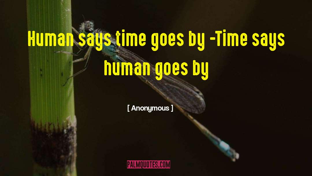 Time Goes By quotes by Anonymous