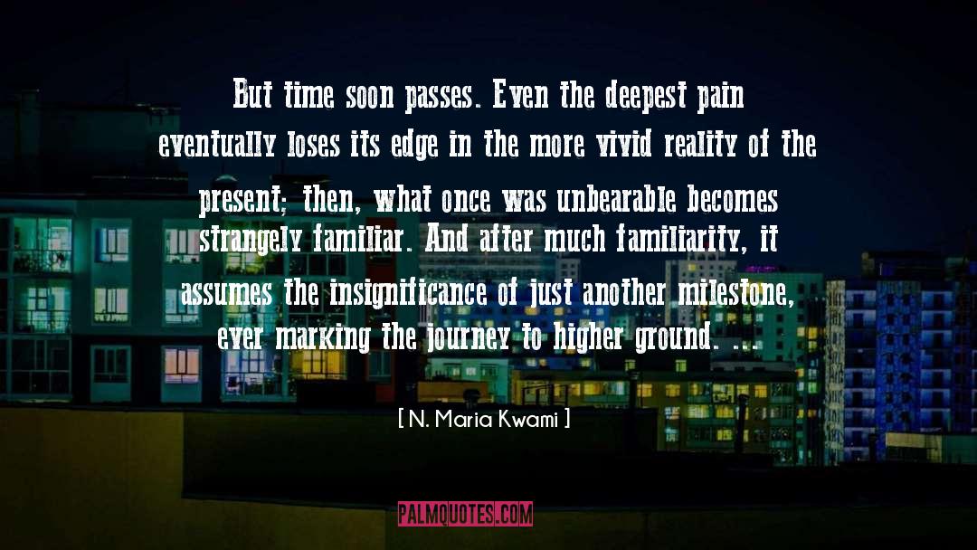 Time Grief quotes by N. Maria Kwami
