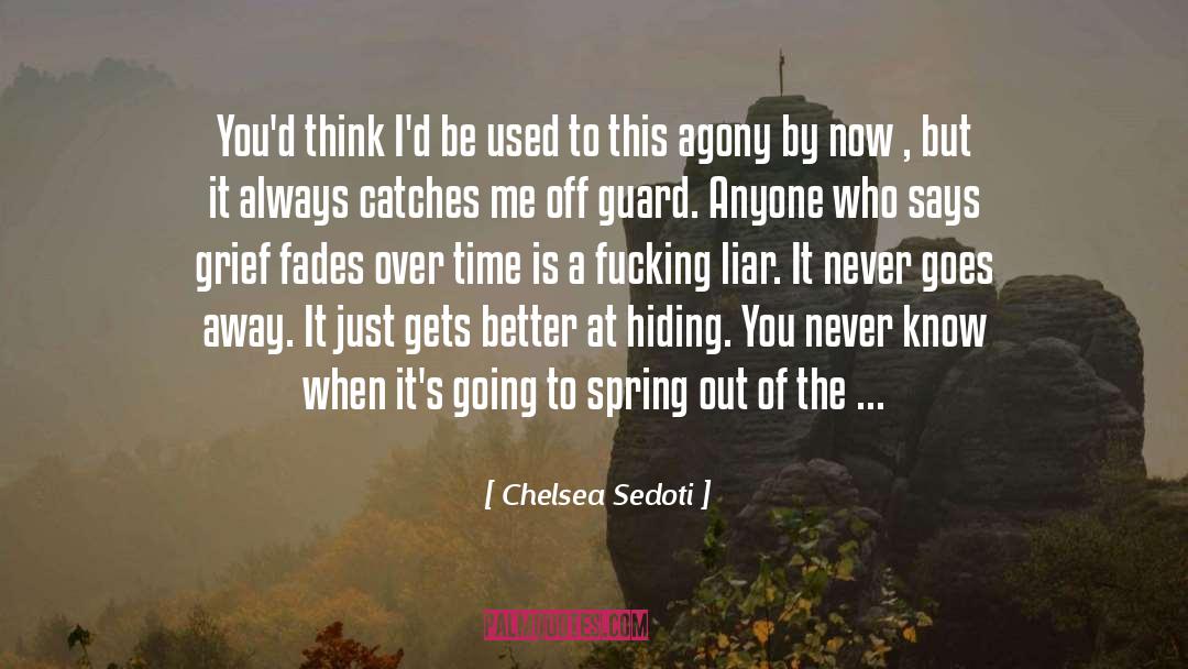 Time Grief quotes by Chelsea Sedoti